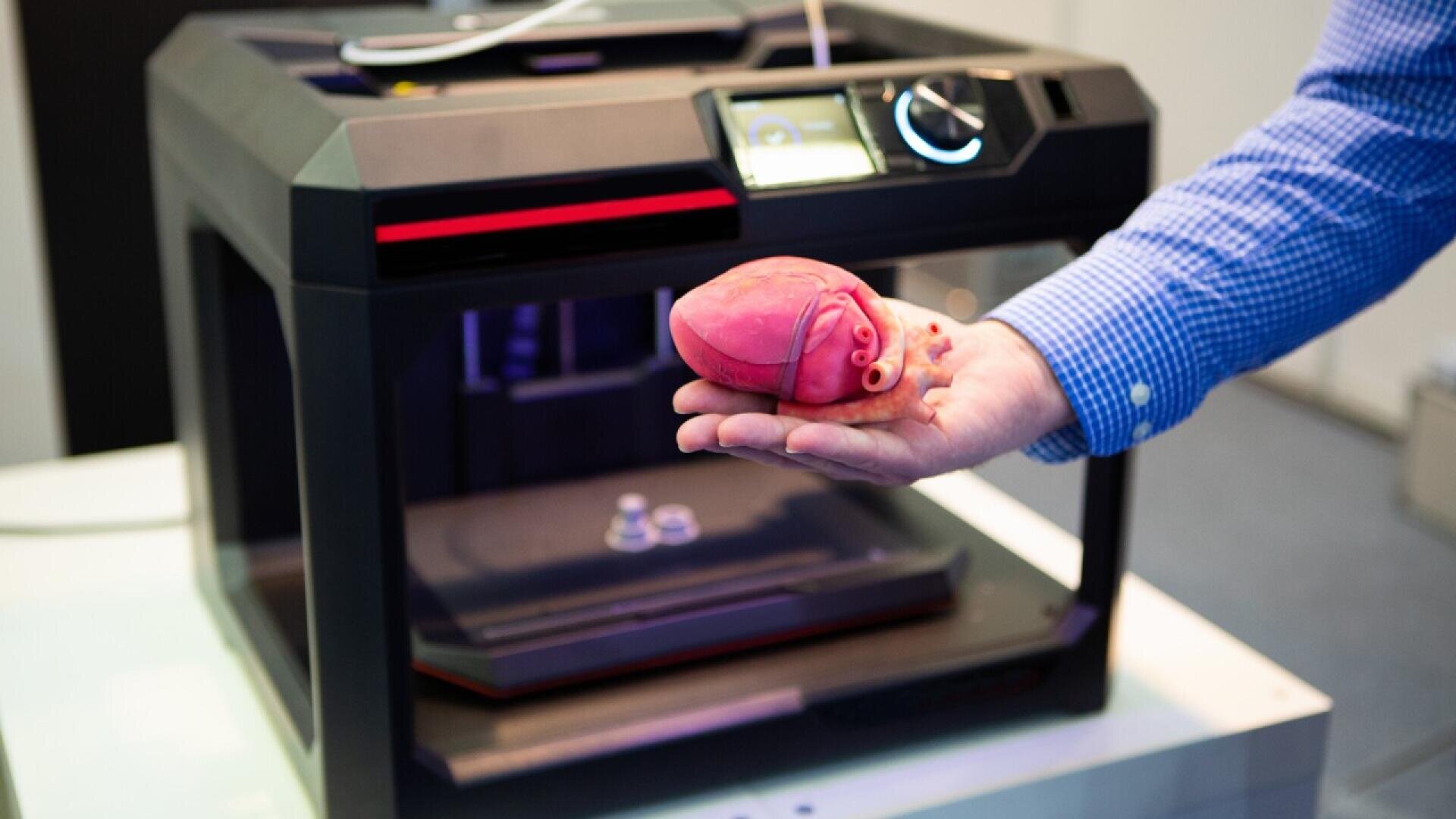 A person holds a realistic, 3D-printed model of a human heart in front of a 3D printer, which sits on a table. The person wears a blue checkered shirt.