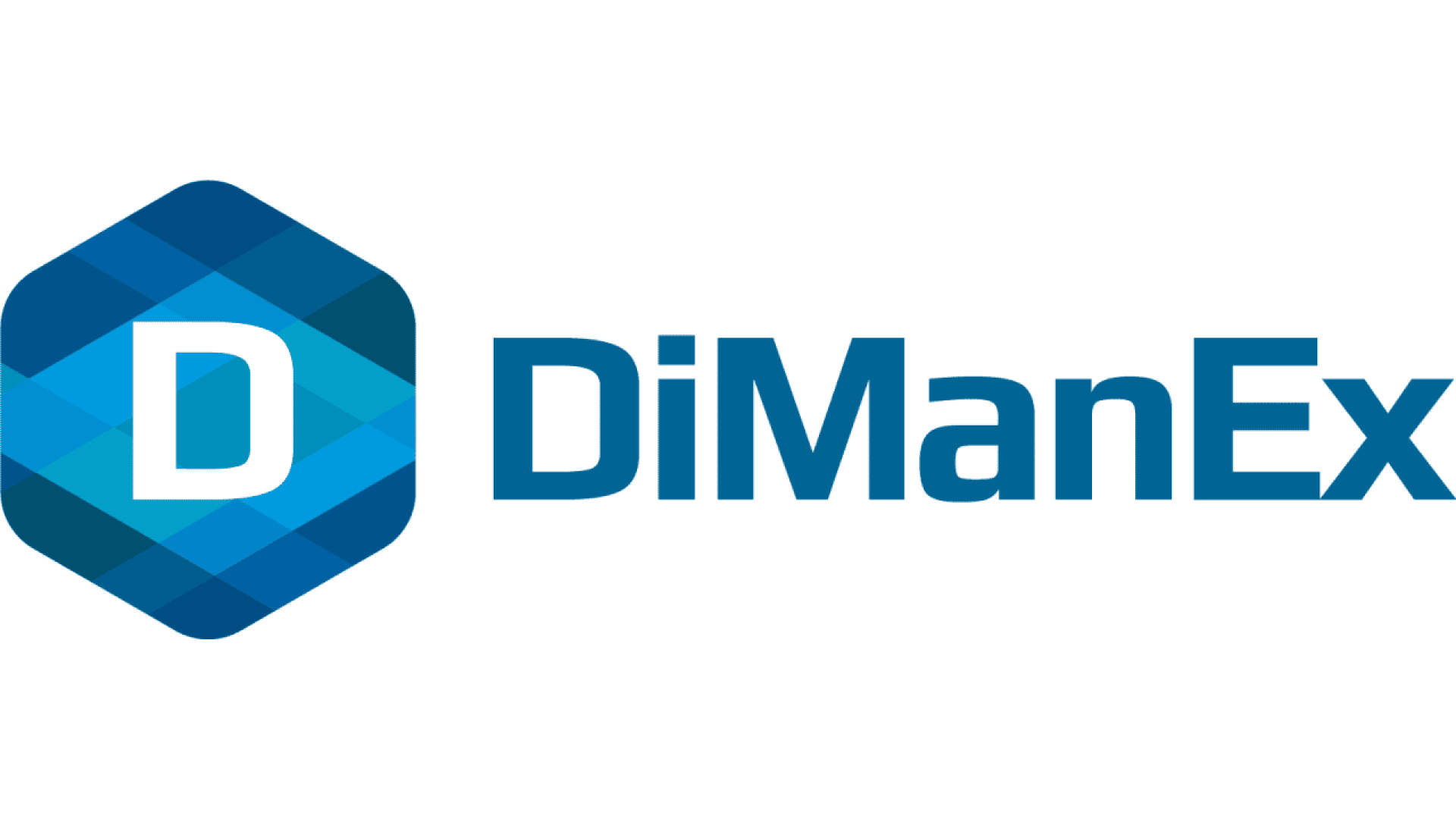 DiManEx logo featuring a stylized blue hexagon with a white D inside on the left, and the text DiManEx in blue on the right.