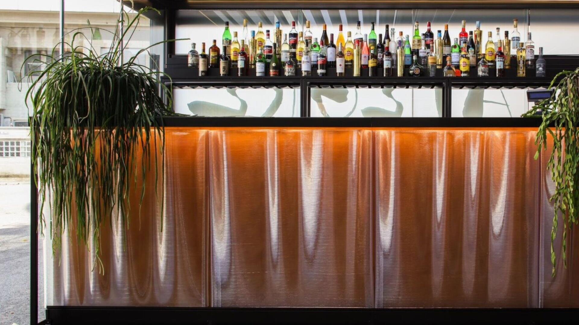 A modern bar with a translucent amber front panel, two hanging green plants on each side, and a variety of liquor bottles neatly arranged on a shelf above the counter.